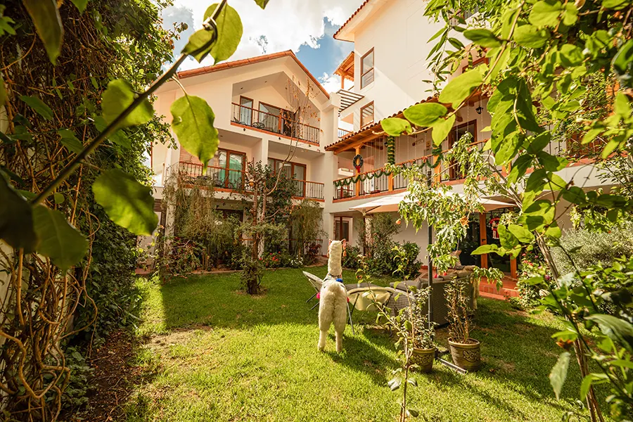 Saska Hotel Boutique